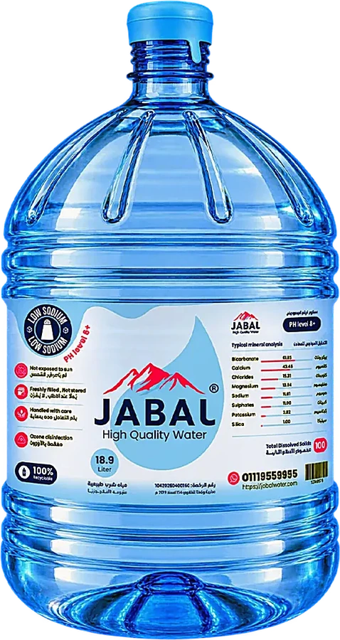 18.9 L single-use